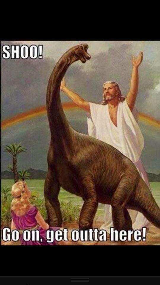 923058_3144406865742_483765395_n