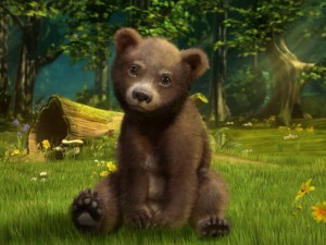 Bear cub forest