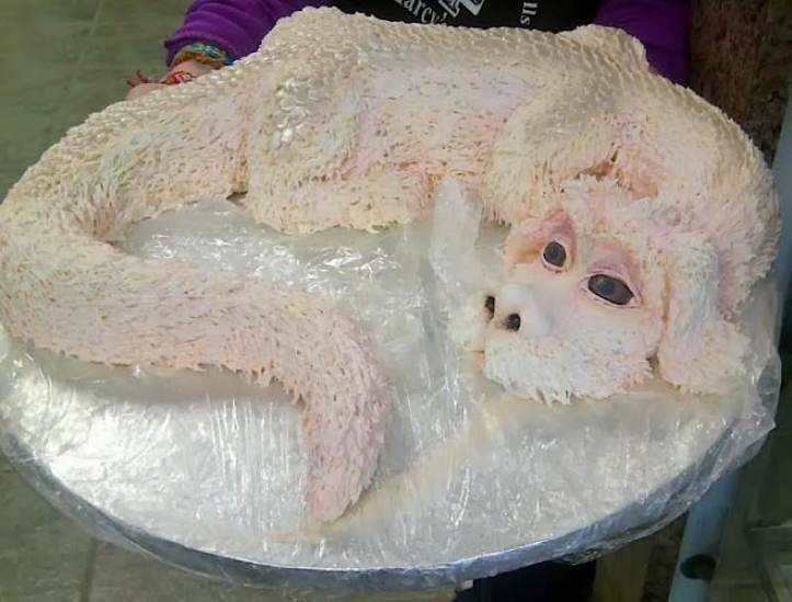 the-neverending-story-inspired-falkor-cake